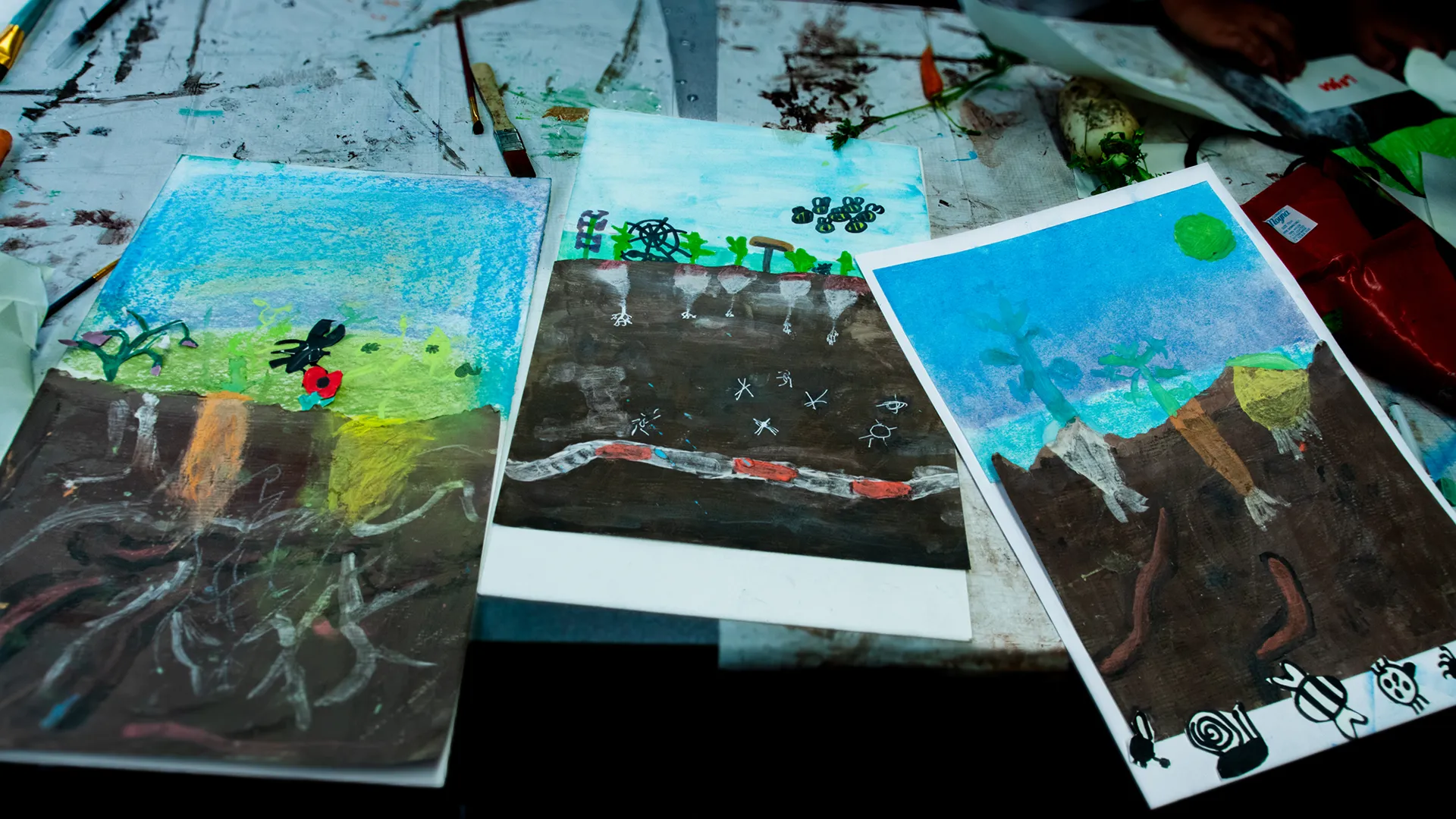 Paintings by some of the children at St Mary's Primary School Bridport about what happens abov and below the soil