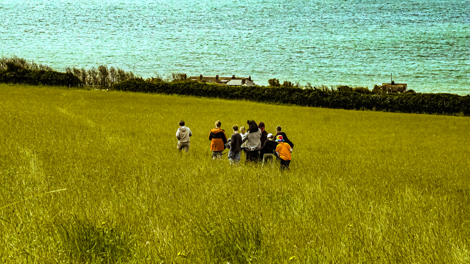 kids in the field